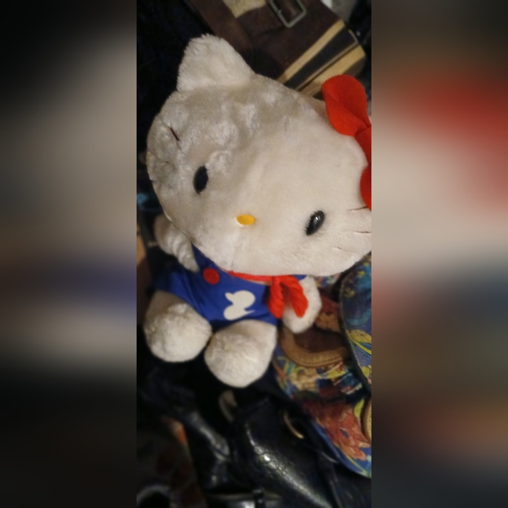 Hello kitty stuffed animal collectors